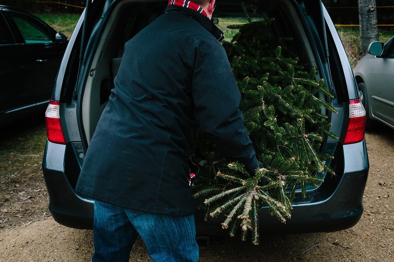 Dad puts Christmas tree in trunk of van 