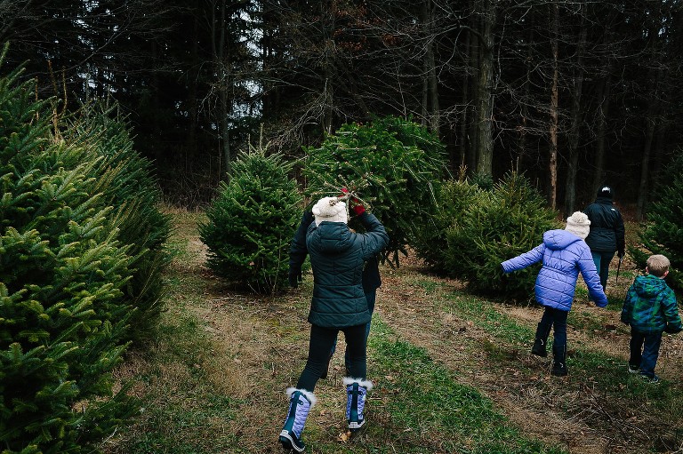 Dad and daughter carry Christmas tree over their heads through the tree farm