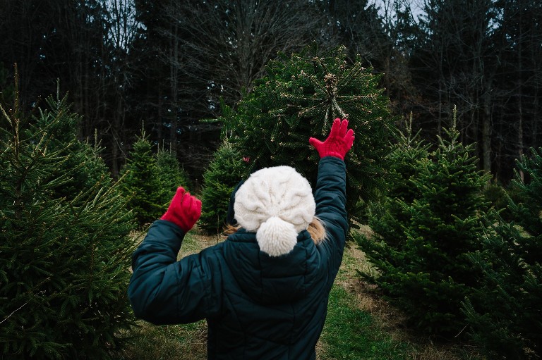 Girl reaches up to touch the tip of the Christmas tree