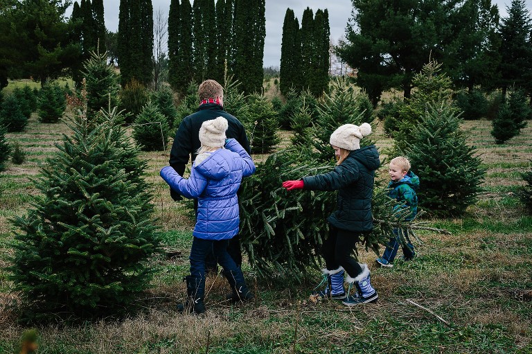 Dad and kids carry Christmas tree through the tree farm