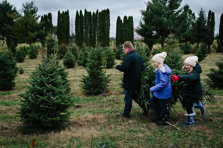 Dad and daughters carry Christmas tree through the tree farm