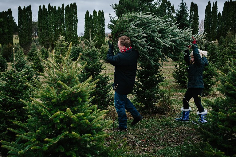 Dad and daughter carry Christmas tree over their heads through the tree farm
