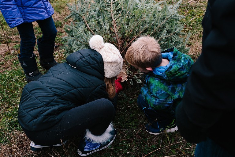 Brother and sister count tree rings 