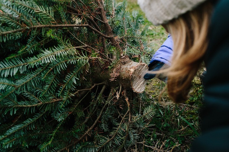Counting tree rings 