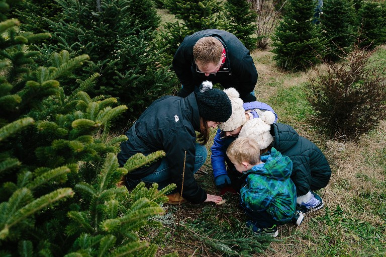 The whole family counts the tree rings on their tree 