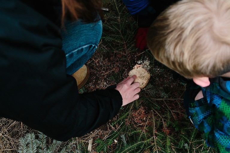 Mom shows young son how to count the tree rings to see how old the tree is