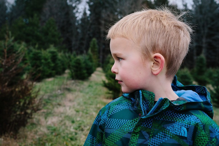Boy at tree farm