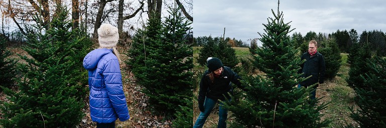 Family of 5 inspect a Christmas tree at a tree farm