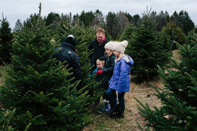 Family of 5 inspect a Christmas tree at a tree farm