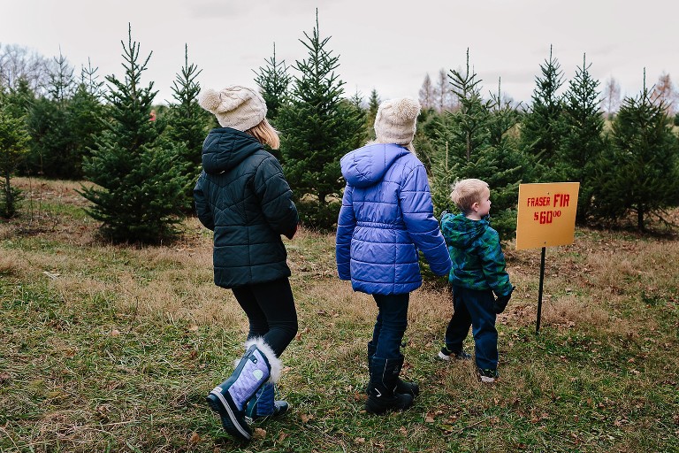 Kids lead the way to find a Christmas tree 
