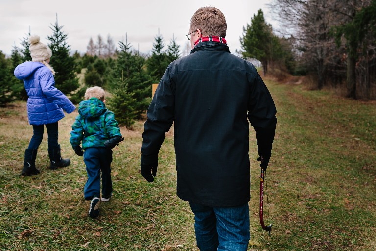 family hunts for Christmas tree at farm. Dad holds saw 