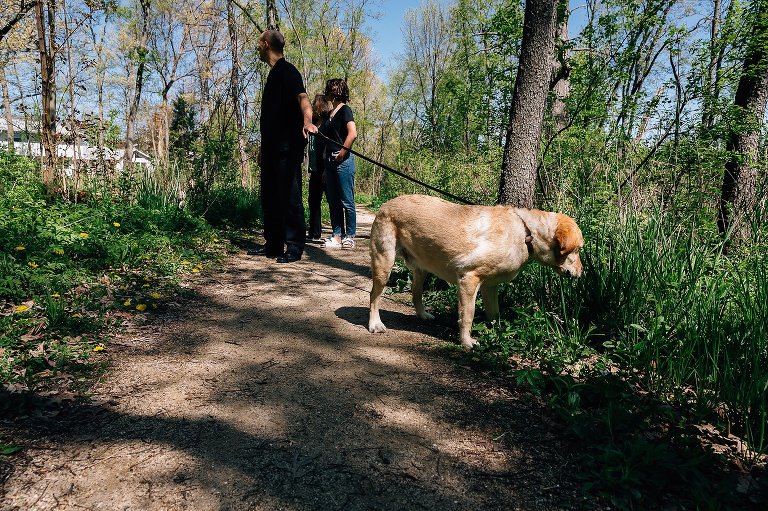 The family dog explores the grass. 