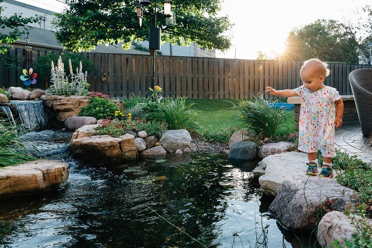 Toddler girl drops a stone in backyard pond at sunset. 