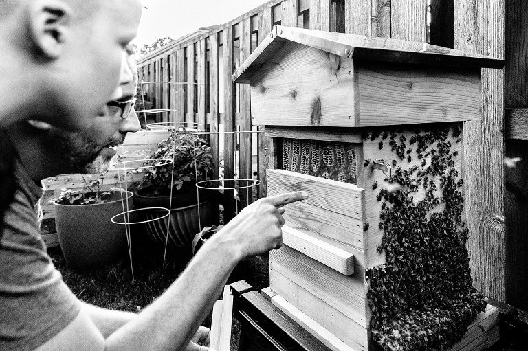 Dad and son inspect honey combs in their backyard beehive. 