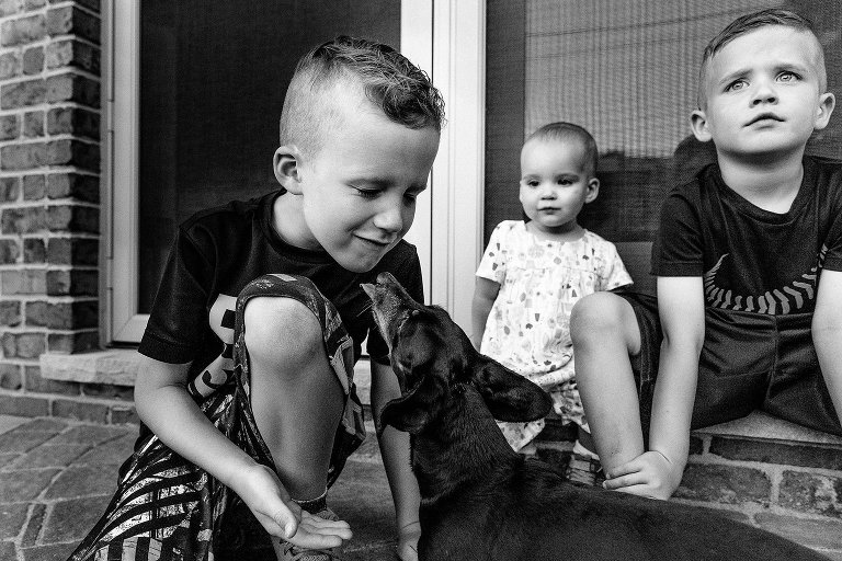 older brother gets dachshund kisses 