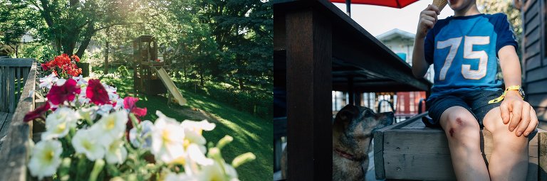 View of deck flowers, sun, and backyard treehouse; dog waiting patiently for a lick of boy's ice cream cone
