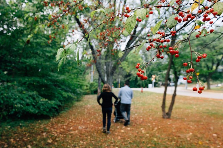 Focus on fall tree berries as family walks away from camera. Yellow leaves underfoot. 