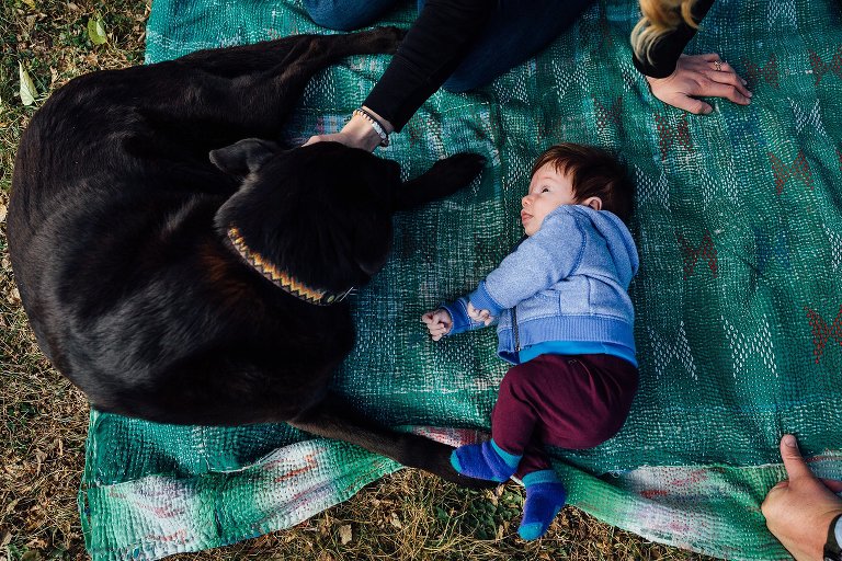 Mom, baby, black dog and dad's hand on a green blanket outside. Baby is looking at dog. 