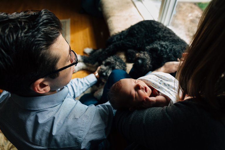 Top down view from behind two parents. Focus is on mom holding sleeping newborn while Dad pets the heads of both family dogs. 