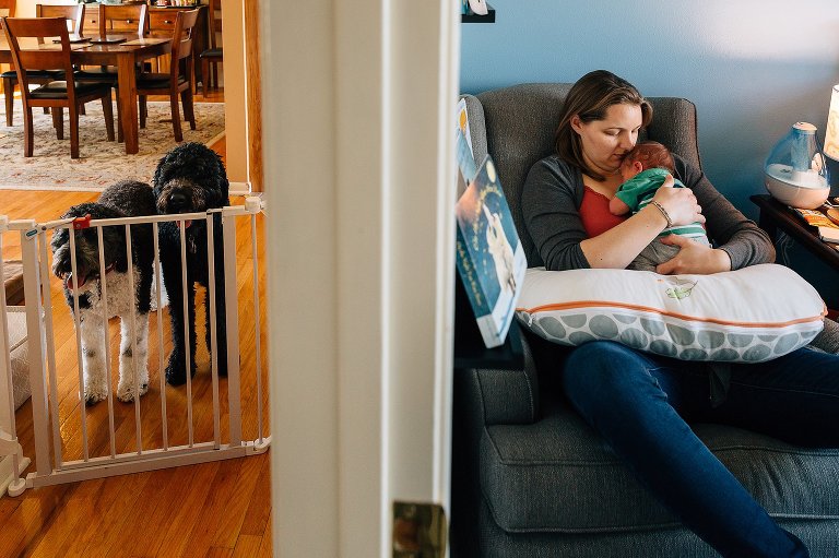 Two dogs behind the baby gate in the hallway on the left. Mom holding newborn baby on the right. 