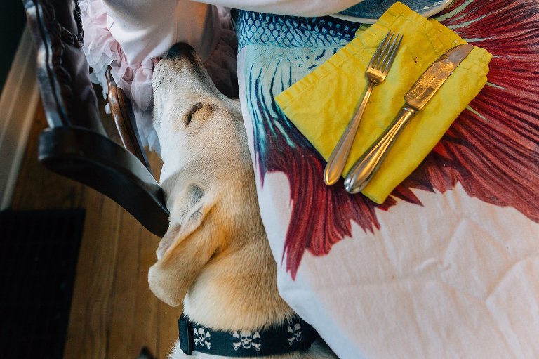 Dog licks syrup off girl's clothes at breakfast table. 