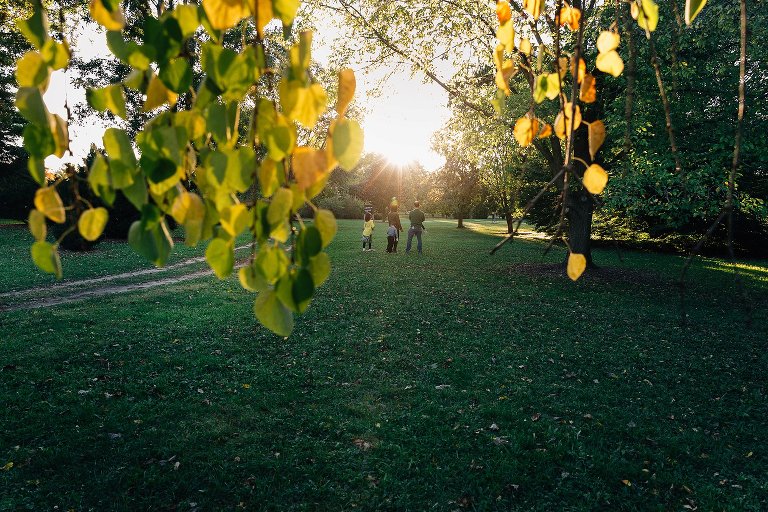 Tree siblings standing and playing outside in the trees as the sun sets behind them.