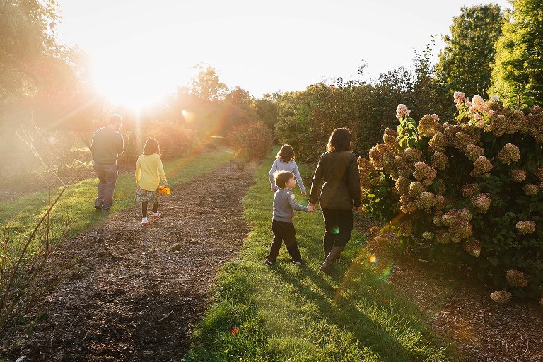 Sun sets as family walks down mulch path looking at fall flowers.
