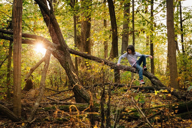 Kid sitting on fallen tree in forest with colorful fall leaves and sun setting through the leaves.