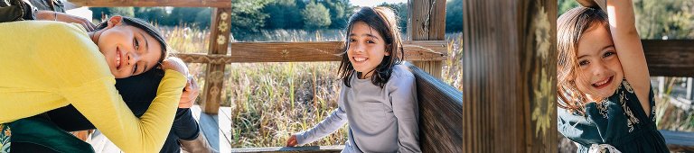 Tree siblings sitting on wooden dock over cattail marsh.