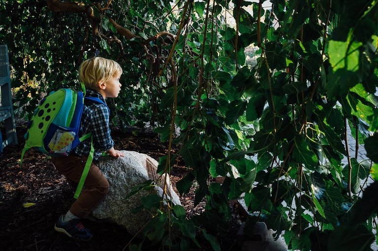 Little boy wearing a backpack stands under tree on a rock.