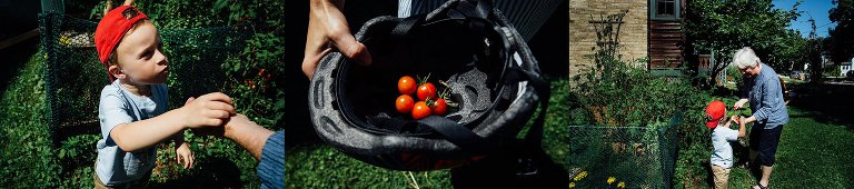 Neighbor puts some tomatoes into young boys helmet.