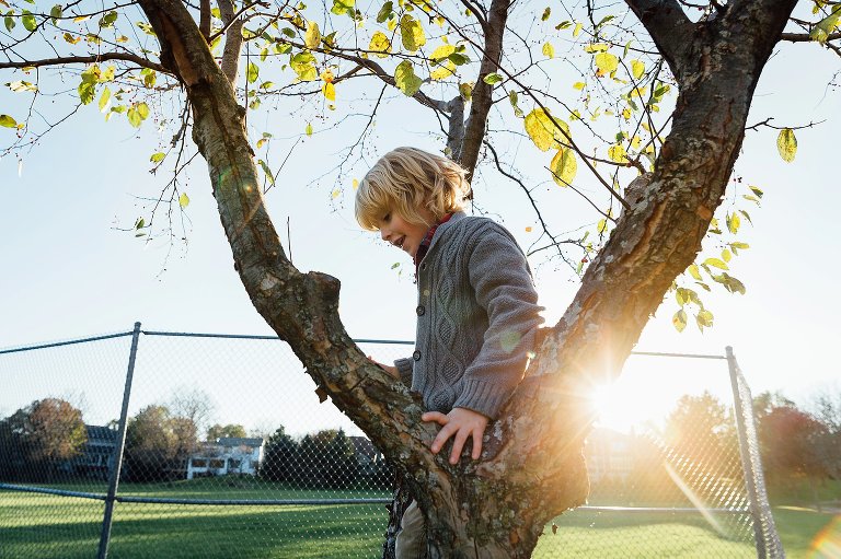 boy climbs tree at baseball field with setting sun behind him