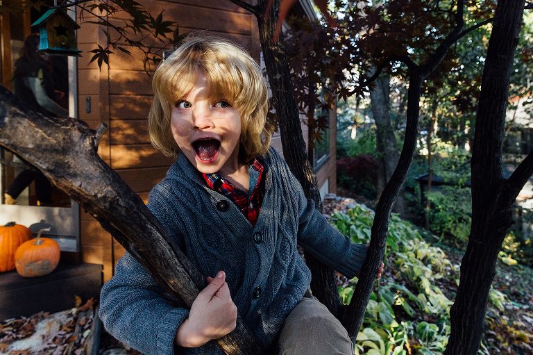 boy climbs a tree with dappled light on his face and pumpkins in the backgroudn of a autumn at home session 