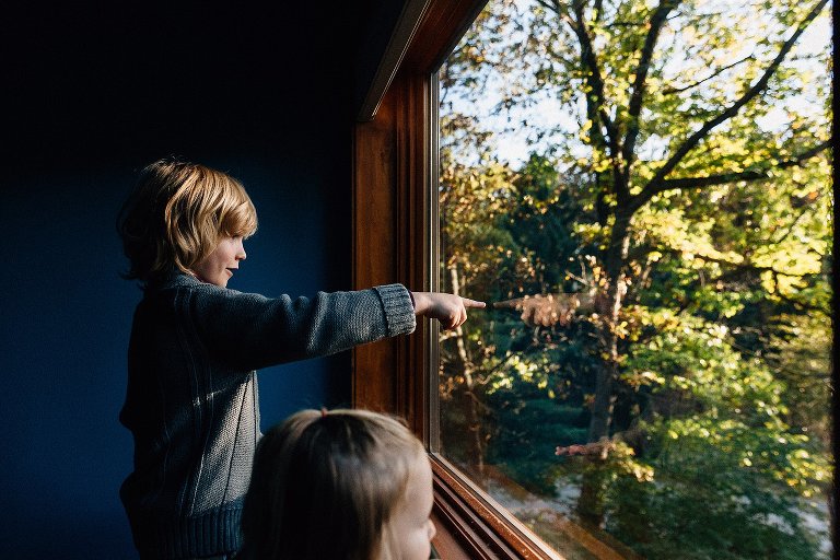 boy looks at Autumn trees at Home through a window