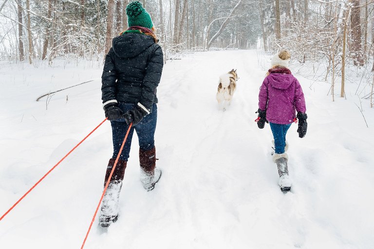 Woman pulls sled behind her as husky and young girl walk in front of her in the snow