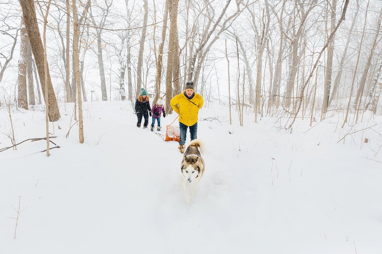Family of three: mom, dad, young daughter, walk through the snowy woods with their husky. 