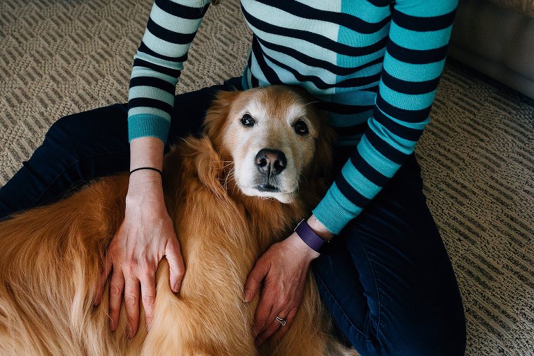 Golden Retriever dog looks at camera while woman wearing striped shirt holds her chest. 