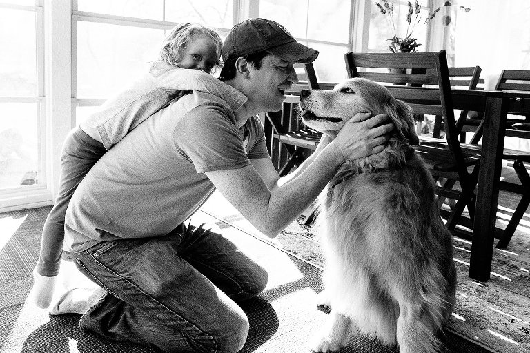 Man holds Golden Retriever dog in his hands while young girl climbs on his back. 