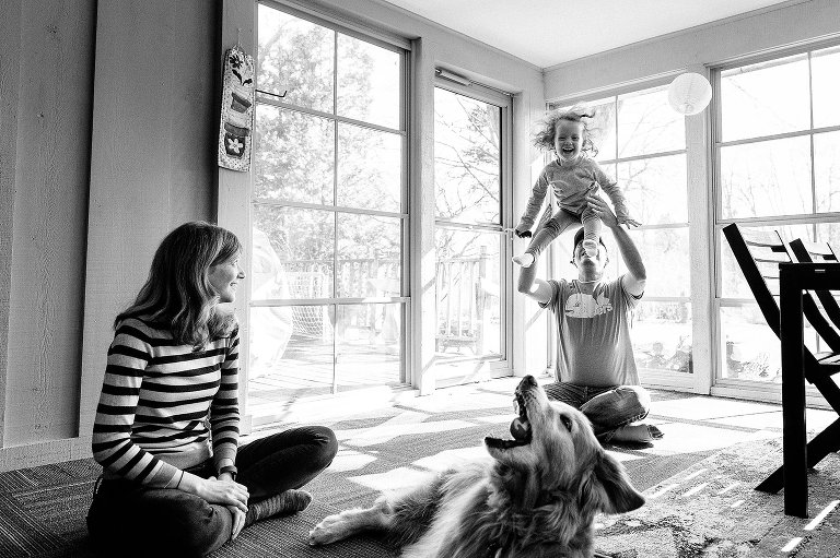 Woman watches man toss young daughter in the air, while Golden Retriever dog plays with a ball in the foreground. 