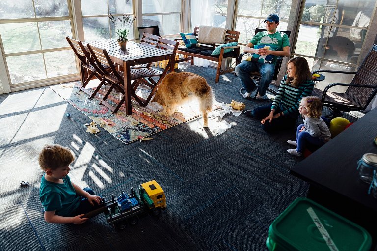 Senior golden retriever dog and family all play on the floor. 