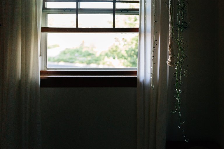 window open on spring Saturday morning, light on hits hanging plant 