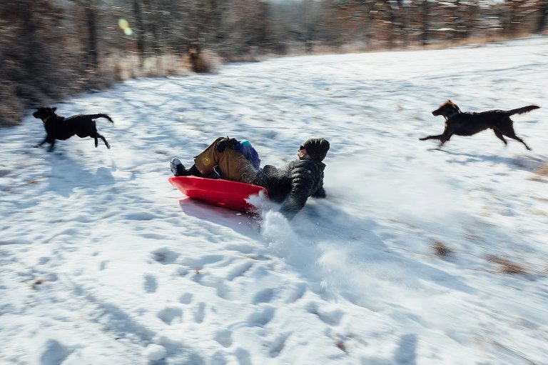 Man rides down snowy hill with his daughter and two dogs run beside them. Photo slowed to show movement.