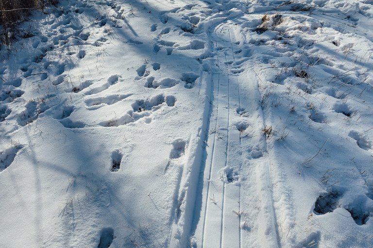 Shadows fall on snow tracks from sleds and boots.