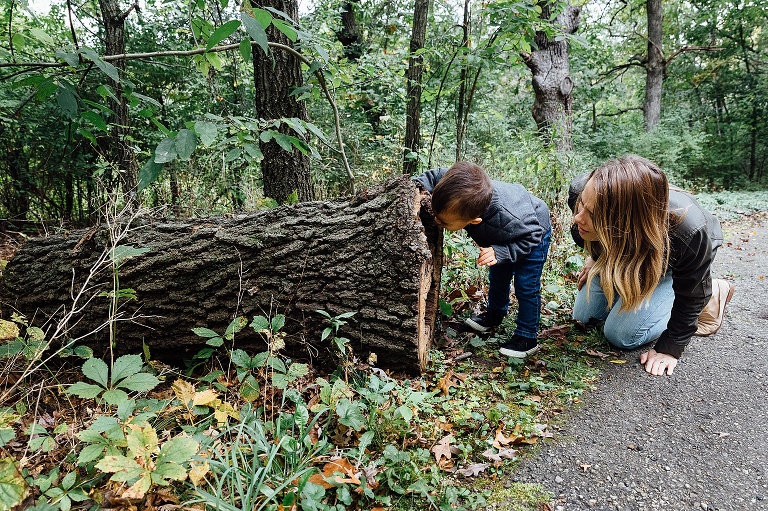 Mother and toddler son curiously look inside a hole of a fallen tree.