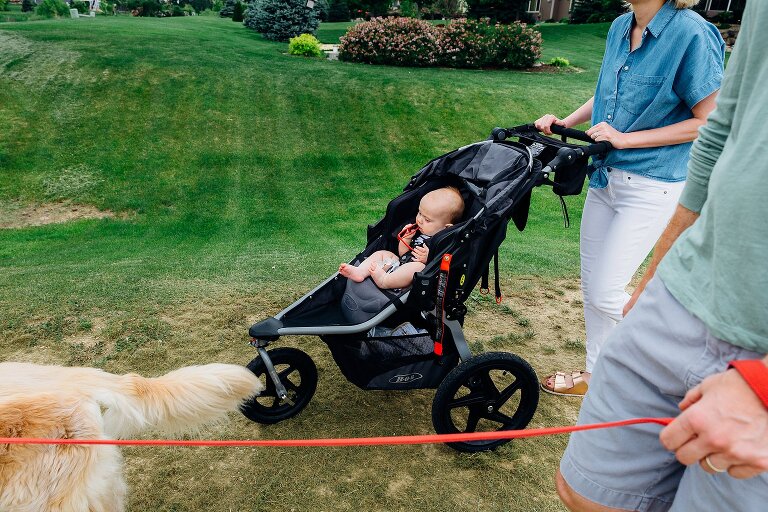 Dog, 2 parents and baby in stroller out for walk during a Family Photography session in MIddleton 