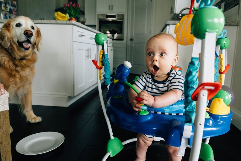 Baby and golden retriever both on kitchen floor with open mouths 