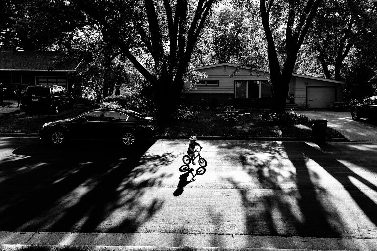 Black and white. Boy bikes between shadows of two large trees with his shadow falling in between. 