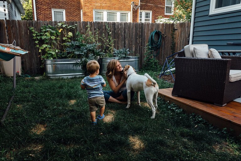 Dog licks mom in the backyard while toddler son approaches. backyard family photos 