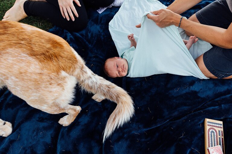 Dad swaddles newborn while dog walks through the scene