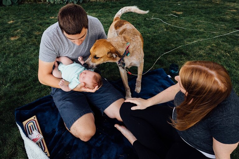 Family dog checks out newborn in the backyard 